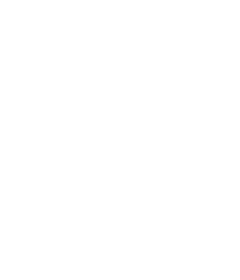 Fortesia Logo